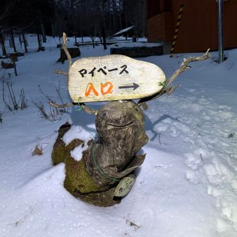 水呑場
カッシーくん
先週壊れていた角が治ってるね👍