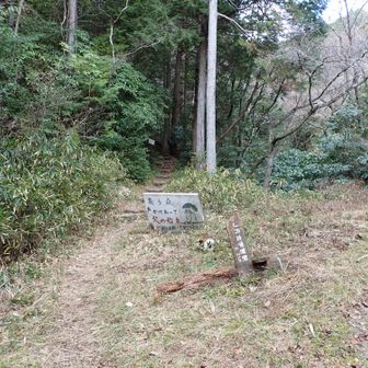 下山完了！
令和７年のすべての山行が終了しました。今年も大きな怪我をせずに済みました。来年もまた沢山の山に登りたいです。　おしまい。