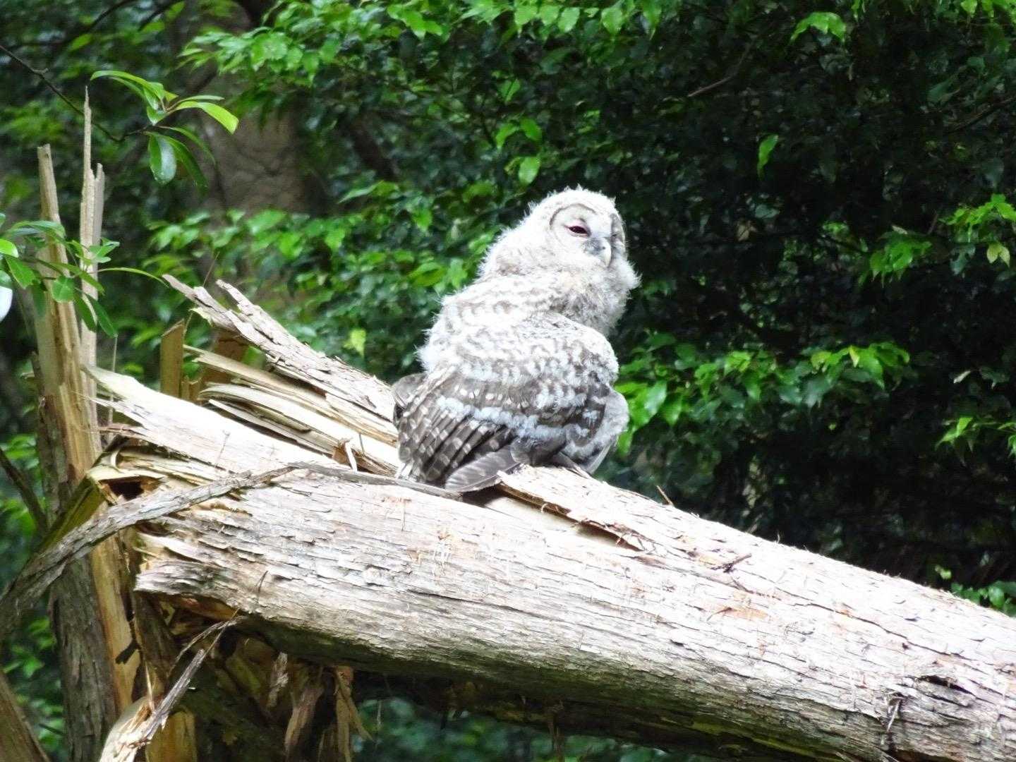 しばらく2人で撮影会📸