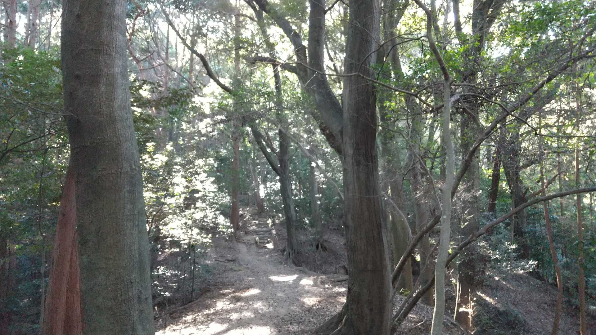 「ここ、写真に残したい」
と思って、シャッターを押し、
帰宅後、写真を見て「あれっ？」ってなることが多いです😖