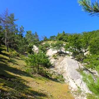 この急斜面を登るとダケ道に合流する