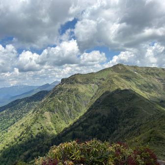 このあとの下山が鬼のようでした、、
ロープで降下と、渡渉と、、の連続🥲
油断できない道でした、、
無事でよかった🥹🥹