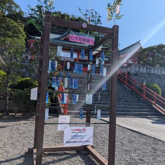 もうこんな時期なんですね