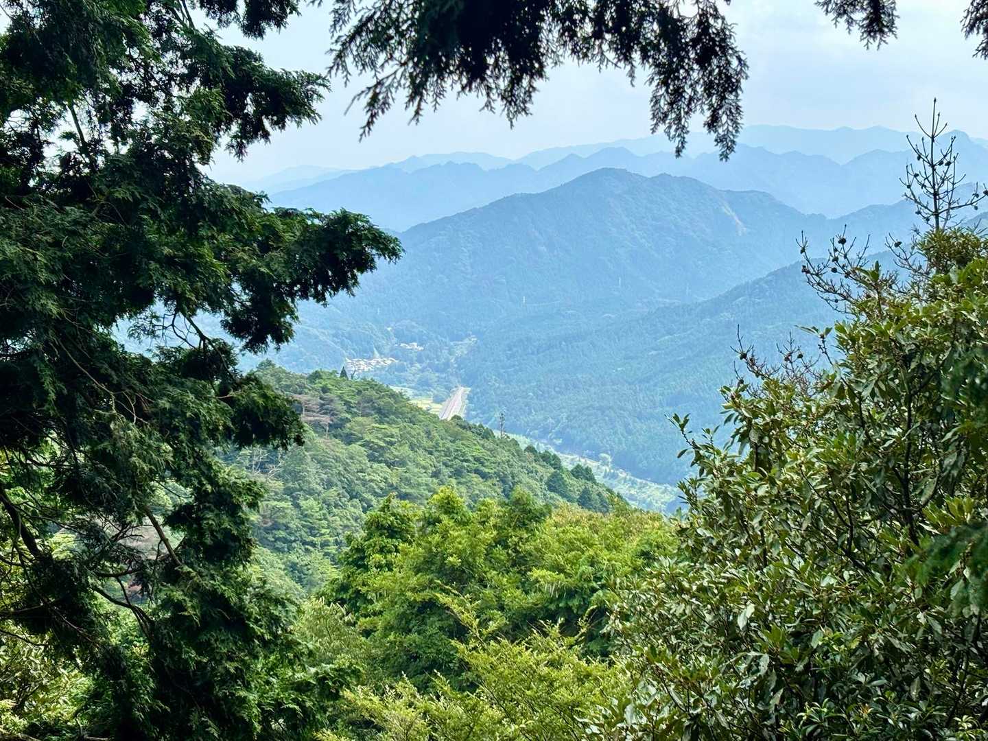 汗だく💦になりながら四方草山に向かいます
あっ　ここまで道中はほとんど展望がありません。チラッと見えた景色が嬉しくてしばらくみていました(*⁰▿⁰*)