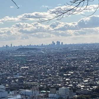 手前の小牧山、　名古屋の高層ビル群