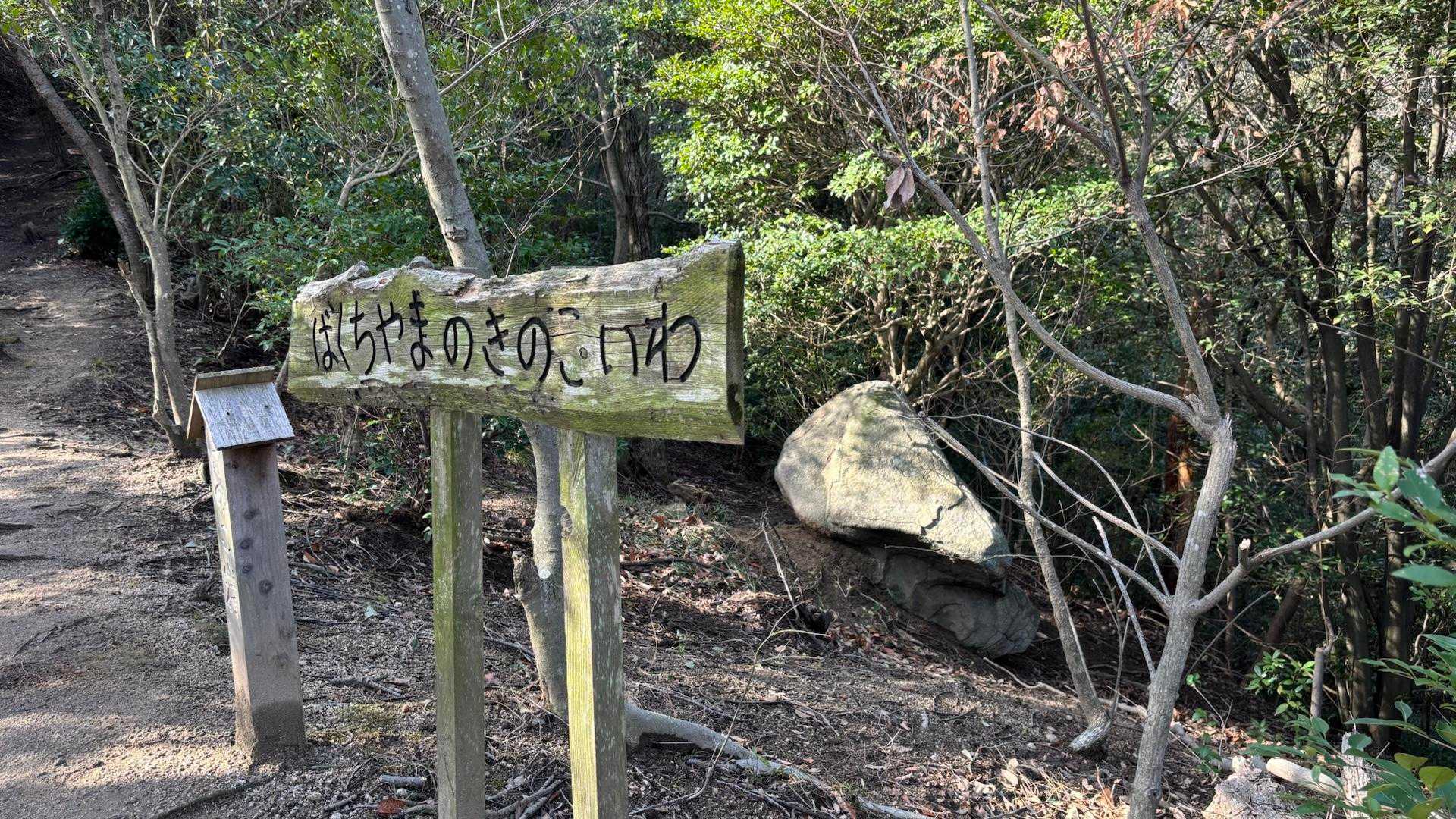 はくち山登山口-博智山-妙見山-横峯山-立石山-長坂登山口 縦走コースの写真