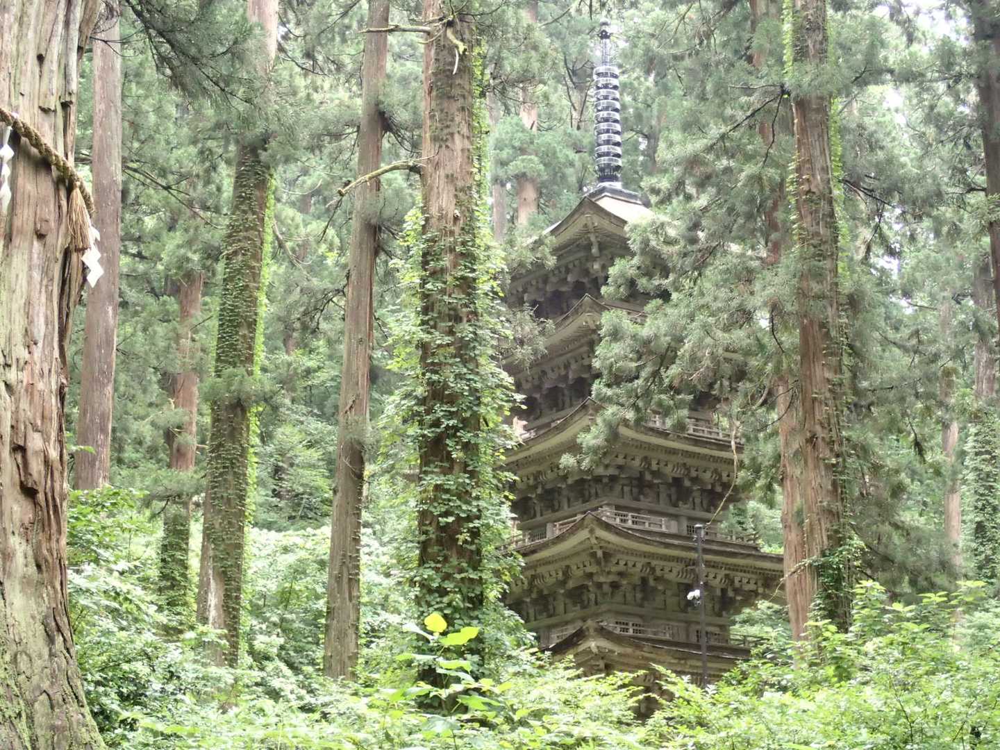 木々の間から五重塔