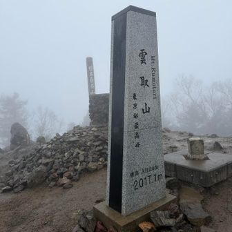 山頂到着👏雨で濡れながら何度も諦めようかと思ったけど😂