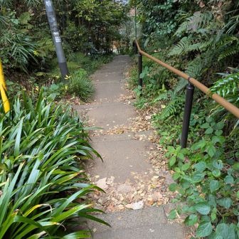 ここを下りて下道へ
住宅街に見えたが、紅葉が奇麗だった。