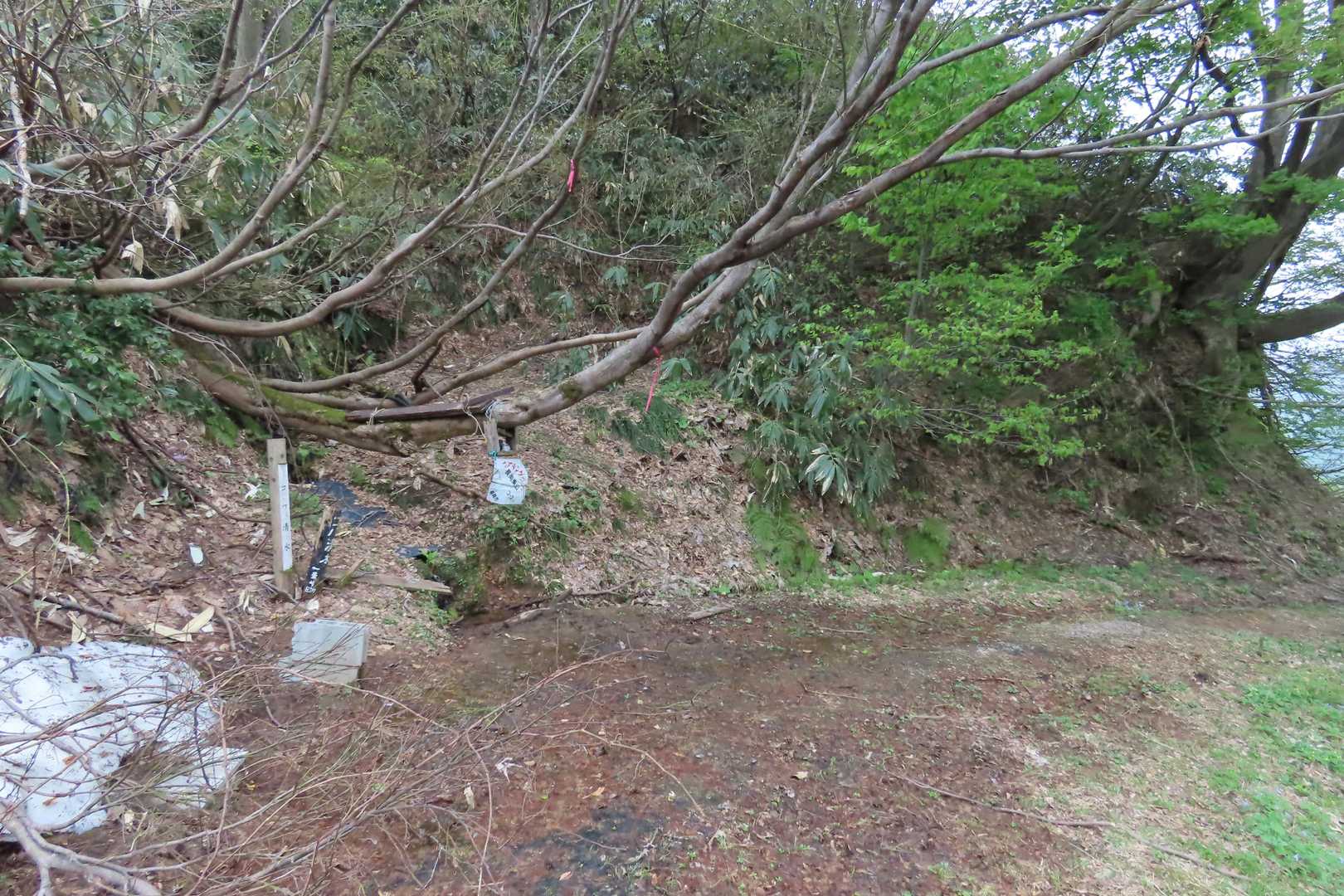 コハ清水で水を3杯いただいて、