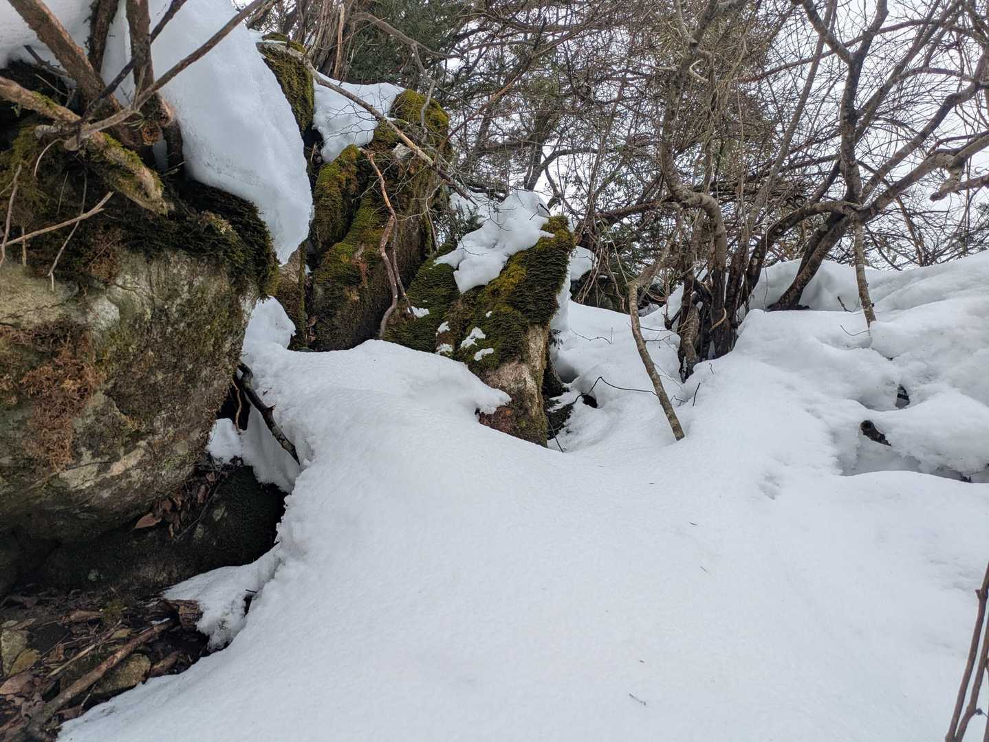 まだ続く
