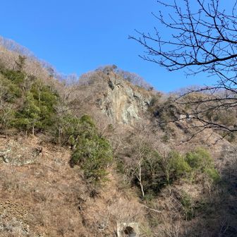 崖の上が袋田の滝上。
実は有料の展望台より高いところから無料で滝見てたんだ🤣