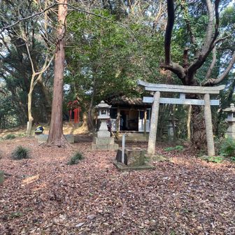 ホントの山頂はこちら。
神社あり、標識ナシ（多分）。
お参りして帰ります。