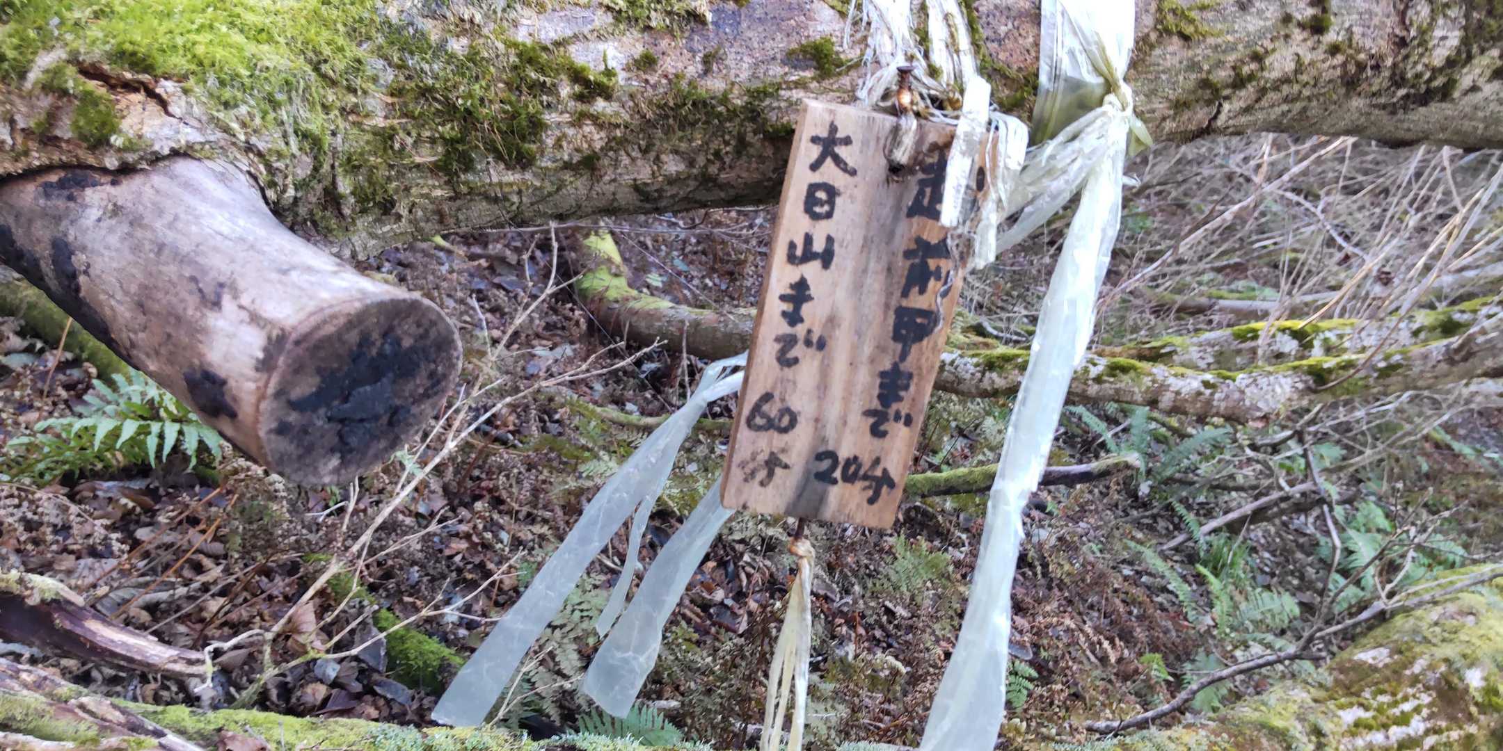 越前甲山～加賀大日山
このくらいの時間はかかります。
YAMAPの地図では片道65分
これは、ちときびしい〰️😅