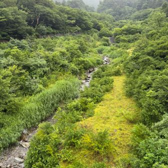 下山も夏山登山道を南光河原におりました
