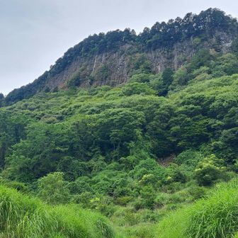 屏風岩が見えてきた⤴　
アスファルトとはいえ、歩いてきた道もそこそこの登り返しやった。。。