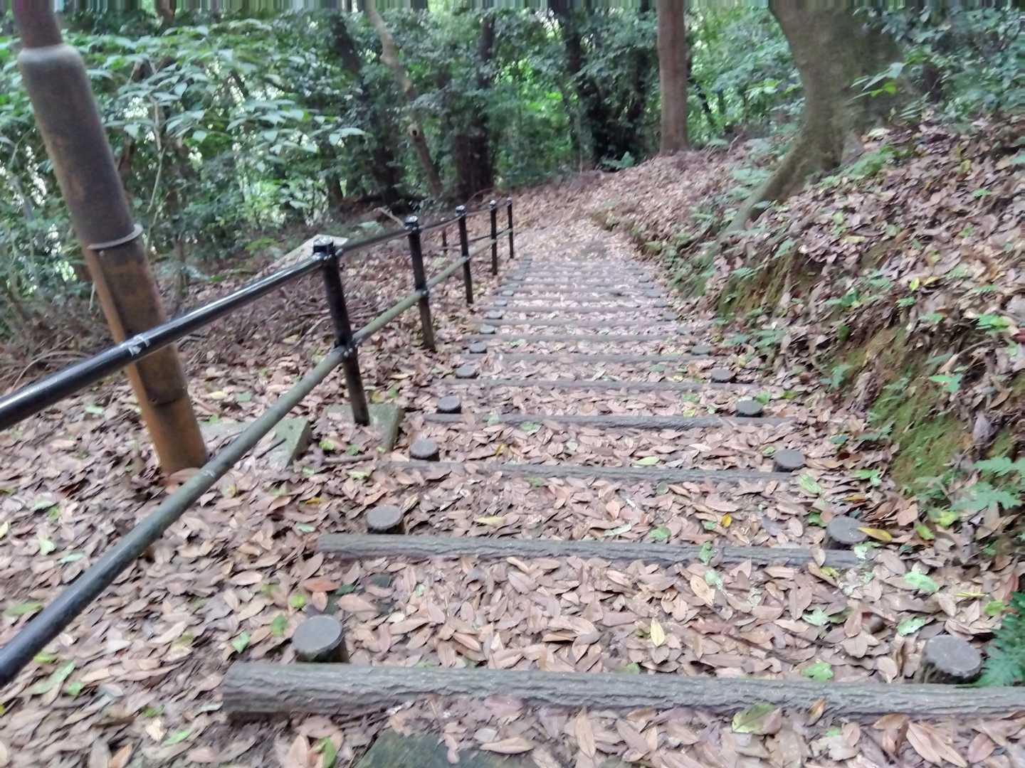 あー、そろそろ買い物に行く時間…😅
