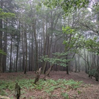 ガスがちょっとかかってきたけど、それが幻想的