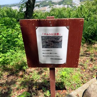 衣笠山公園もあまり人はいませんでした
暑いからね…