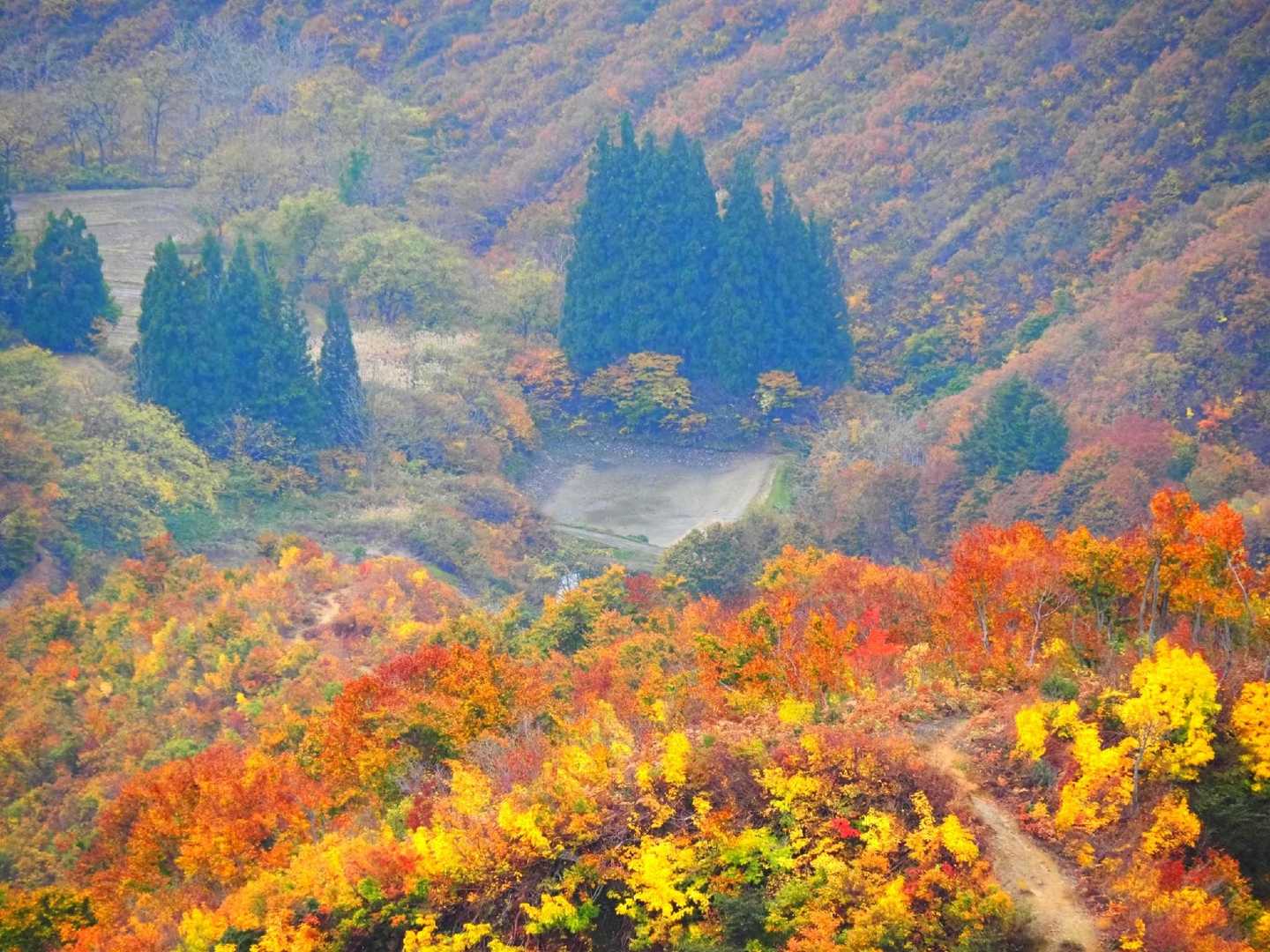 登山口の溜池が見えます。