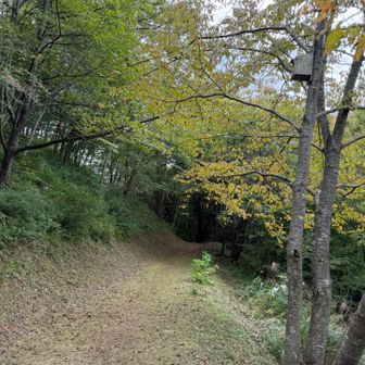 紅葉の時期も良さげ🍁