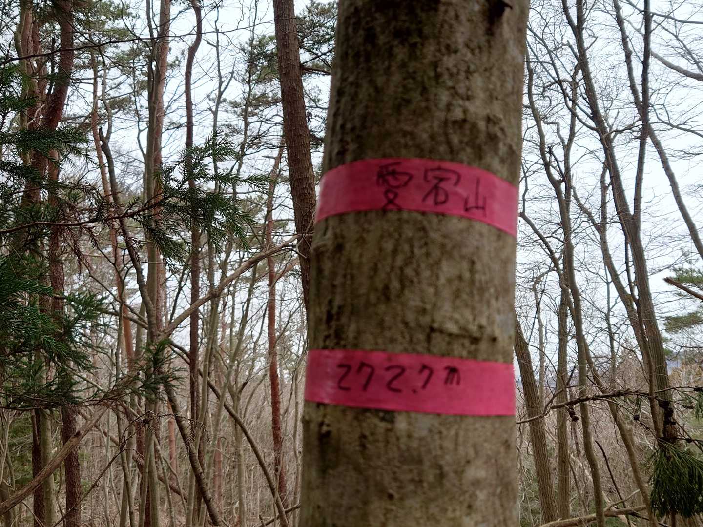 プレートがなし。ちょっとテンション⤵️⤵️