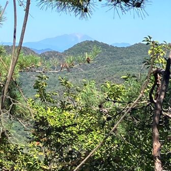 下山途中にチラッと御嶽山👀