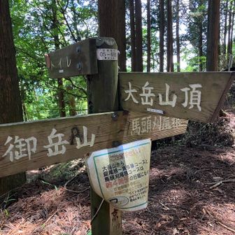 山頂の文字に心躍る❤️よく見るとその下にこの先ロングコースの警告が😅