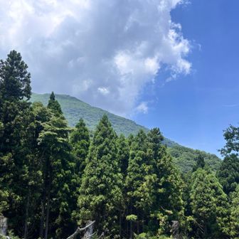 下山したらガス抜けた⁉️
車で志高湖へ移動🚙💨