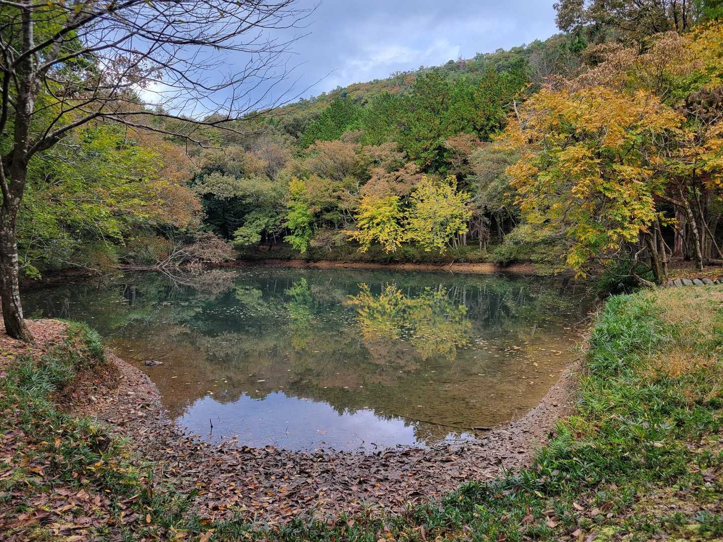 公園を抜け、少し歩くと池がありました。紅葉も少し🟡