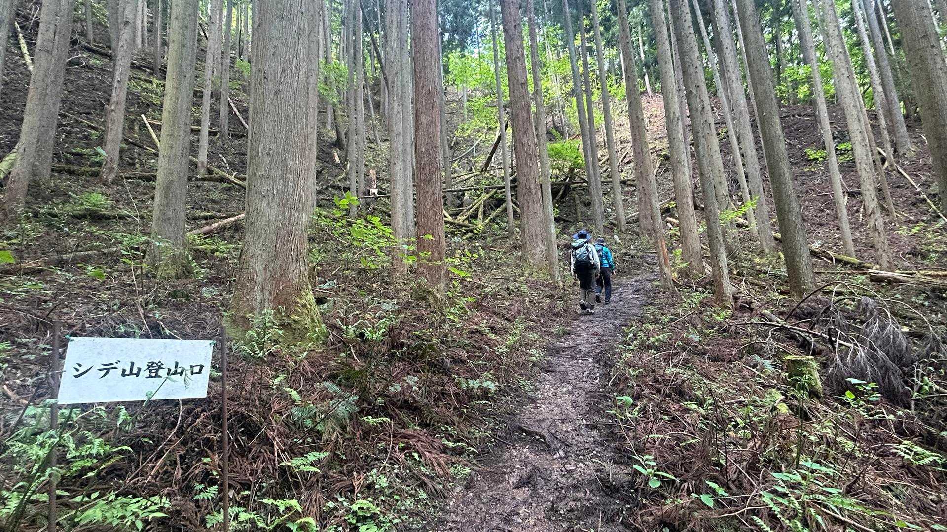渡渉が数回有りました
山道に入ると一変　急登が続きます💦
置いていかれます😅