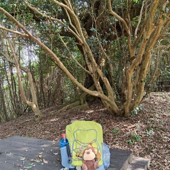 多米峠に到着です
