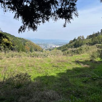 下界まで下りてきた感じです