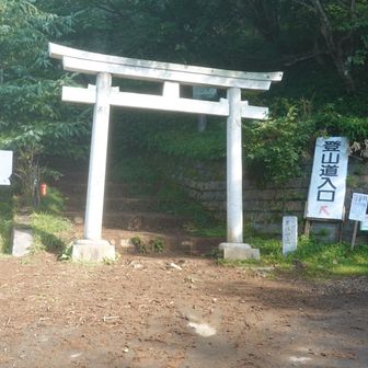 四合目。鳥居をくぐって登山道に戻る