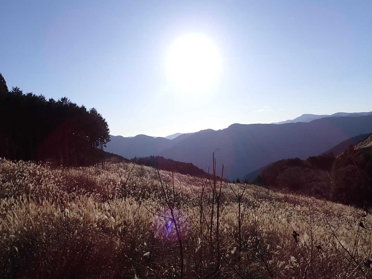やっとで…ひと安心😮‍💨
ススキの原っぱは箱根行かなくても綺麗ねって♡

山登りって時間がかかるから、普段ゆっくり話しできないこととか話せて本当いい時間⏳

次回は私の行ったことあるお山にしましょう🙏
お疲れ様でした😊