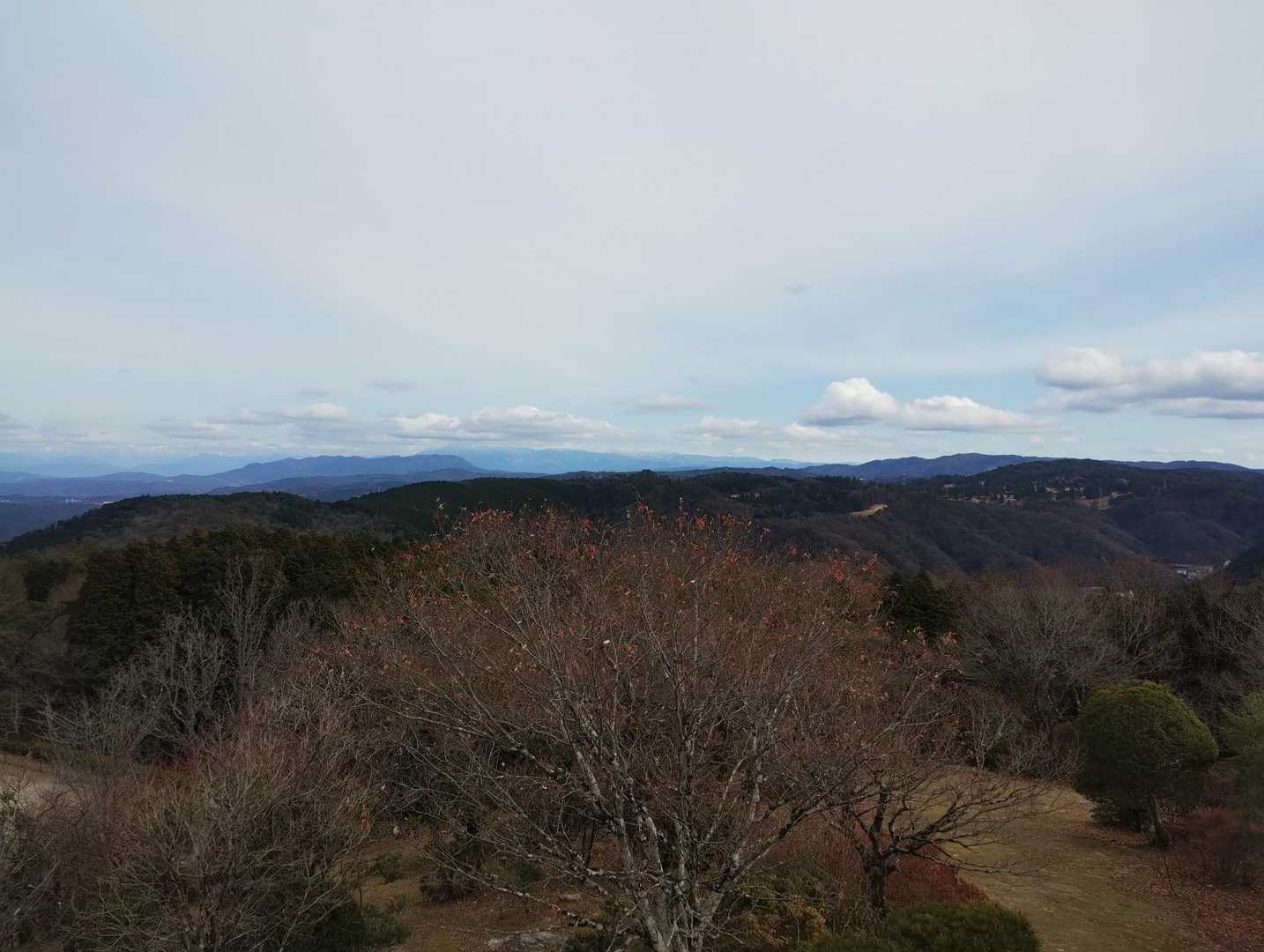 展望台は眺望良い。