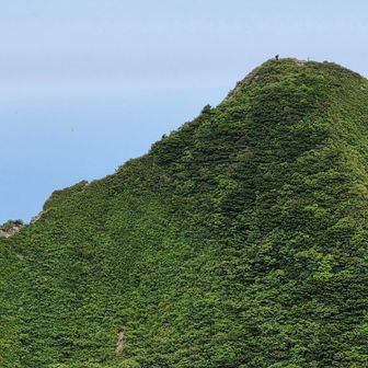 登ってますね