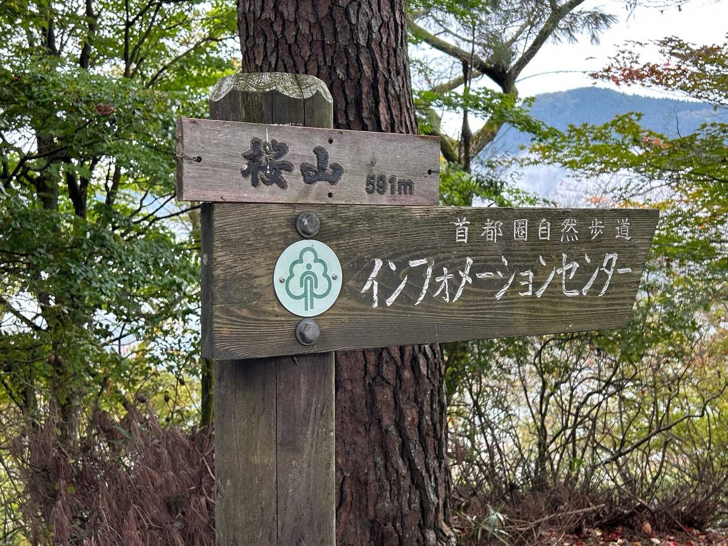 てっぺん