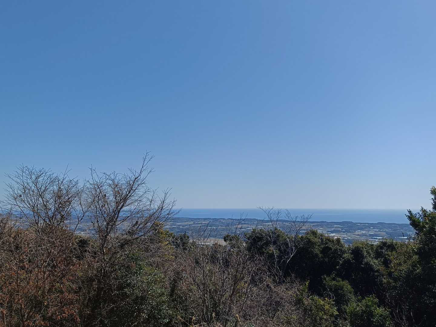 田原アルプスわんこ🐶ルートの写真
