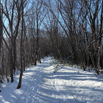 定点観測ポイント・二の坂