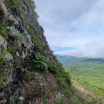 岩がそびえ…奥の植生から上に行けないかと思いましたが…危ないのでやめました!!

最初から行かない選択肢はなく、行ってだめだったら戻ろうということで、のすこさんと来てみました💪

ここまで来れたことに、感謝🙂‍↕️