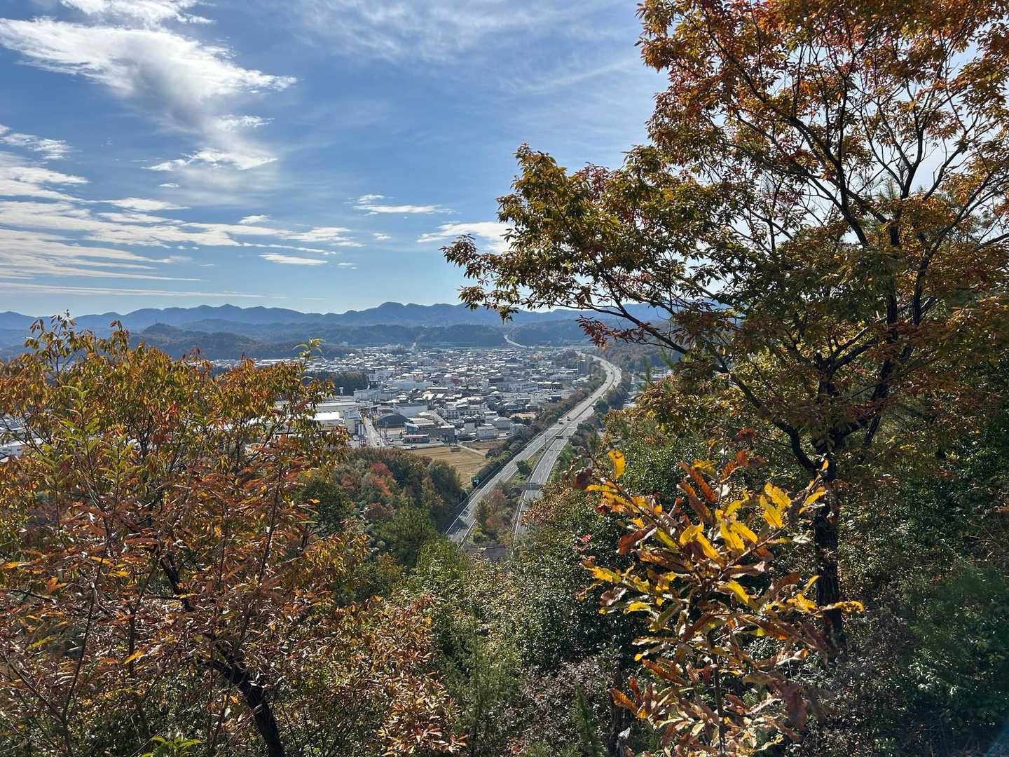 山王山 往復コースの写真