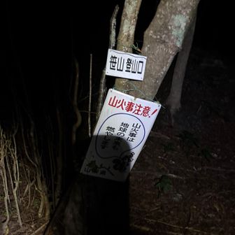 1キロほど進んだところに登山口。
