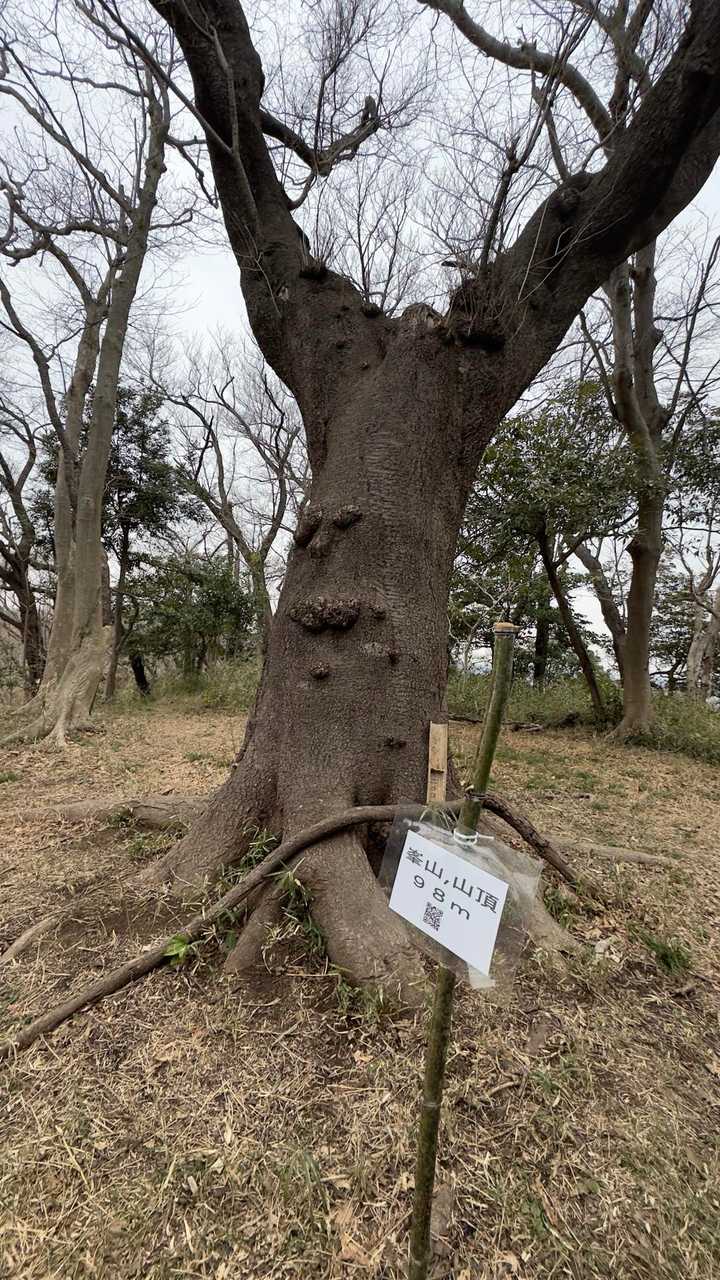 峯山山頂