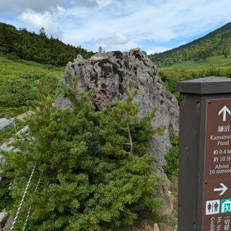 鎌沼を周回します😊
