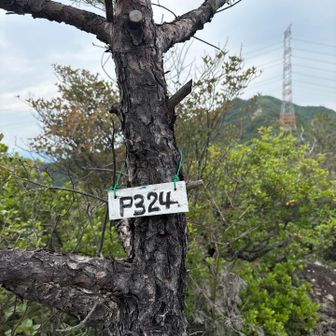 最後のピーク
下山もなかなか疲れます