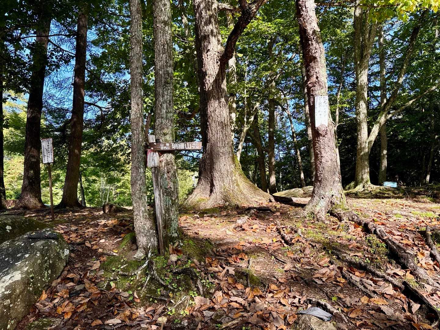 登山口⛰️
良いお天気☀️涼しくて気持ち良いデス٩(^‿^)۶
