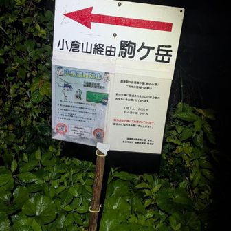 いざ出発