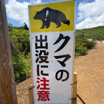 もういつ出てもおかしくないって気持ちが大事🧸