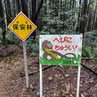 大蛇出るよ〜。
注意して！！(^_^;)